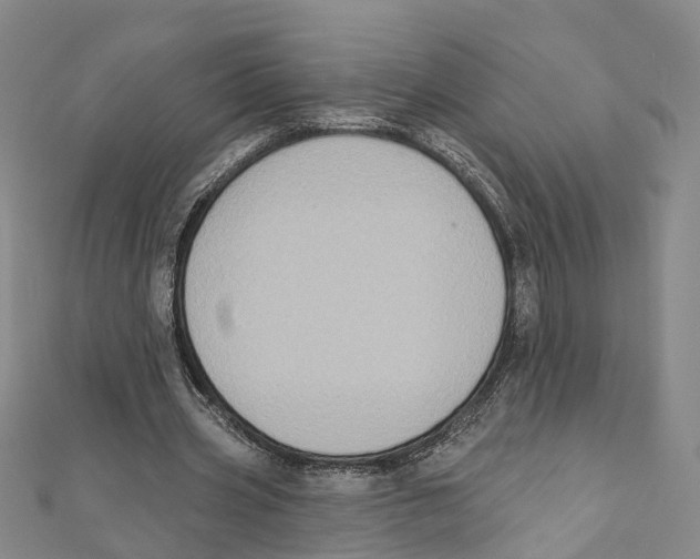 X0000111800533200908201155