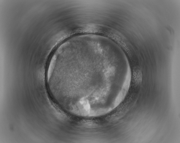 X0000111800534200908201155