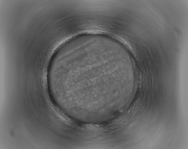 X0000111800535200908201155