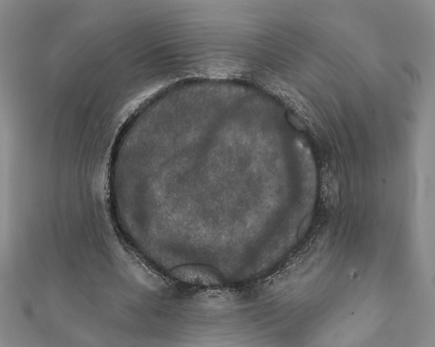 X0000111800536200908201155