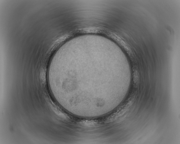 X0000111800537200908201155