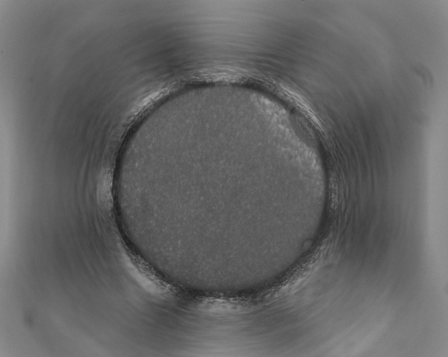 X0000111800538200908201155