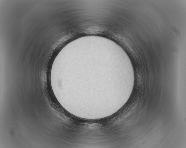 X0000111800539200908201155