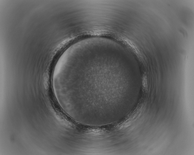 X0000111800540200908201155
