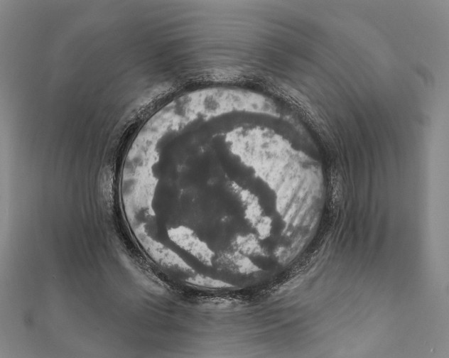 X0000111800542200908201155