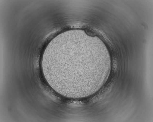 X0000111800543200908201155