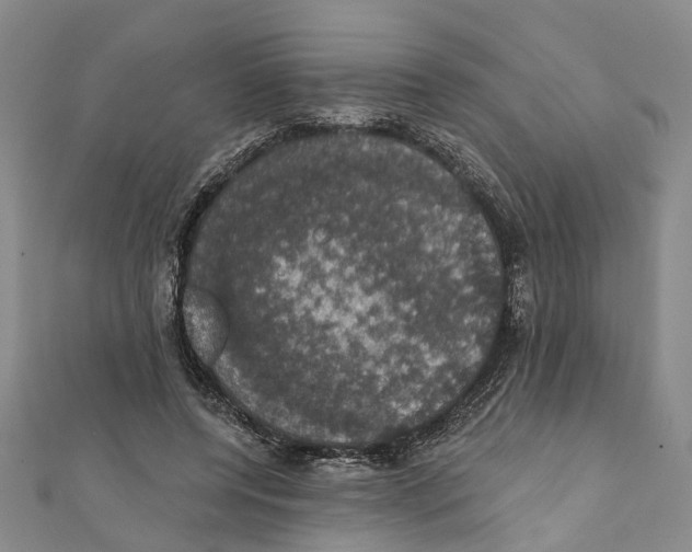 X0000111800544200908201155