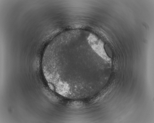 X0000111800546200908201155
