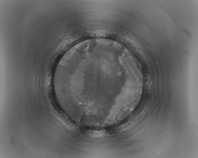 X0000111800548200908201155