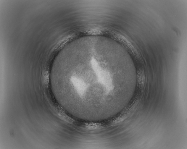 X0000111800549200908201155