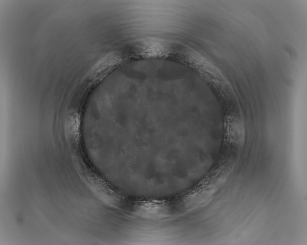 X0000111800550200908201155