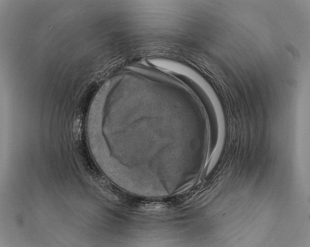 X0000111800551200908201156