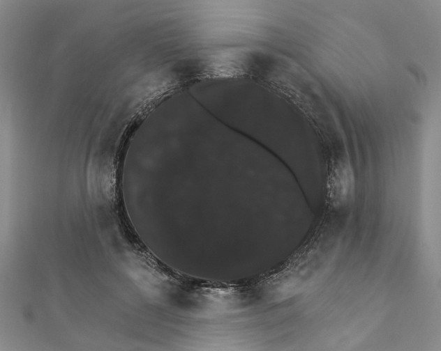 X0000111800552200908201156