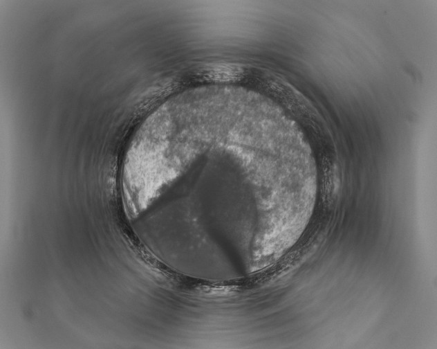 X0000111800553200908201156