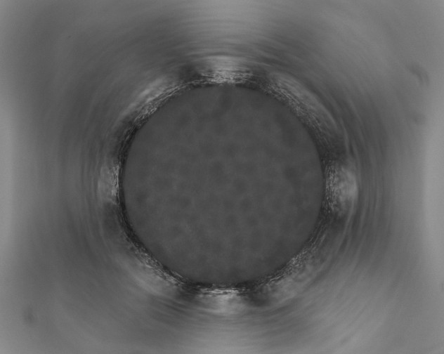 X0000111800554200908201156