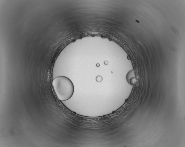 X0000111800555200908201156