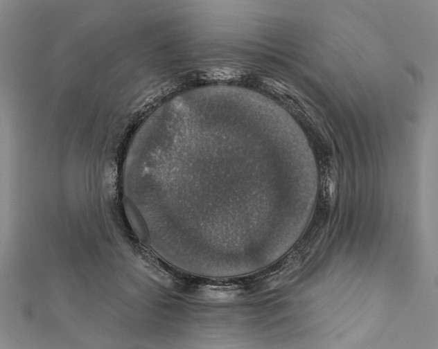 X0000111800556200908201156