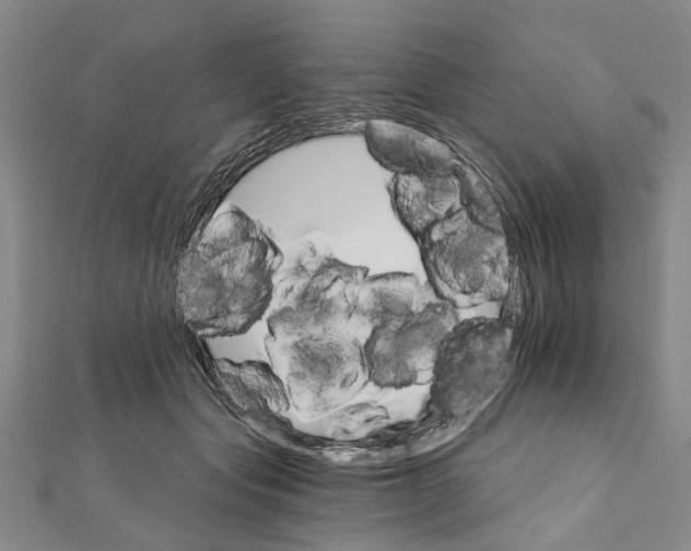 X0000111800557200908201156