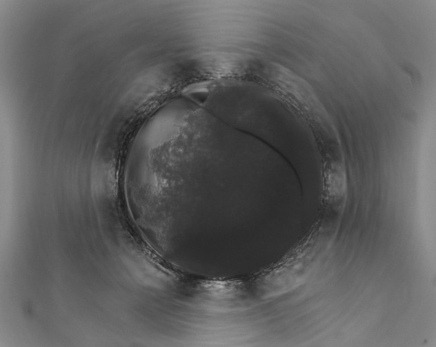 X0000111800558200908201156
