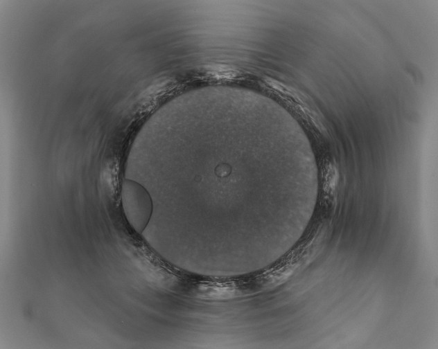 X0000111800559200908201156