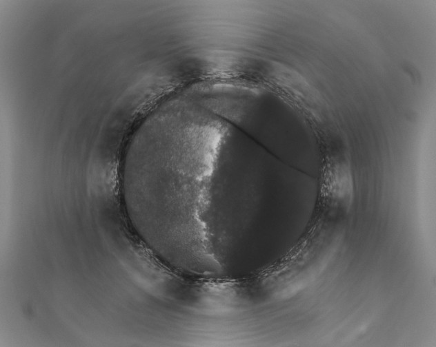 X0000111800560200908201156