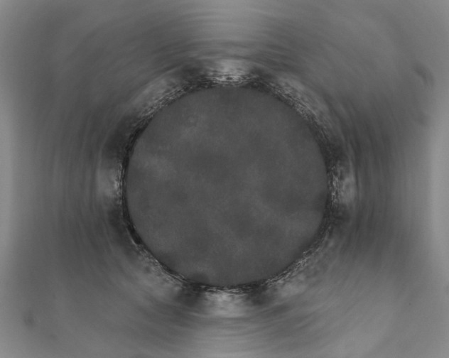 X0000111800561200908201156