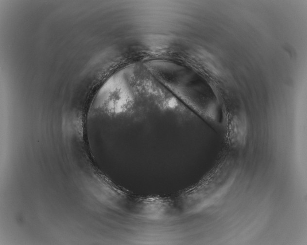 X0000111800562200908201156