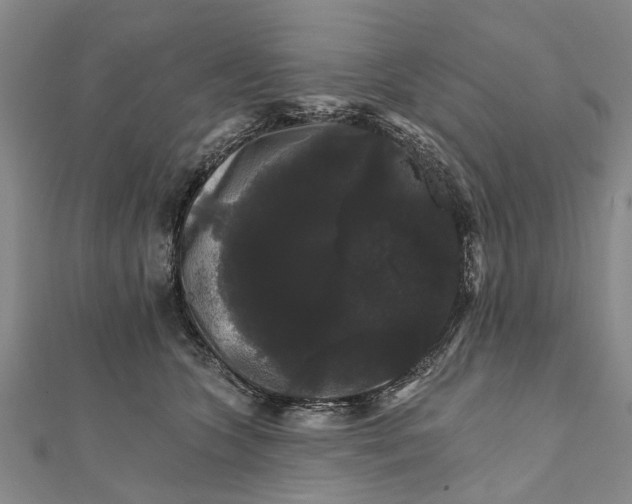 X0000111800563200908201156