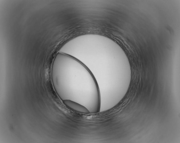 X0000111800564200908201156