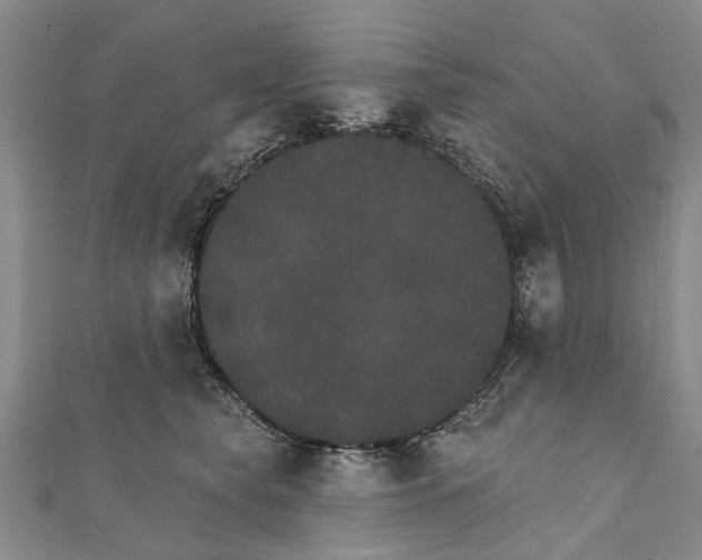 X0000111800565200908201156