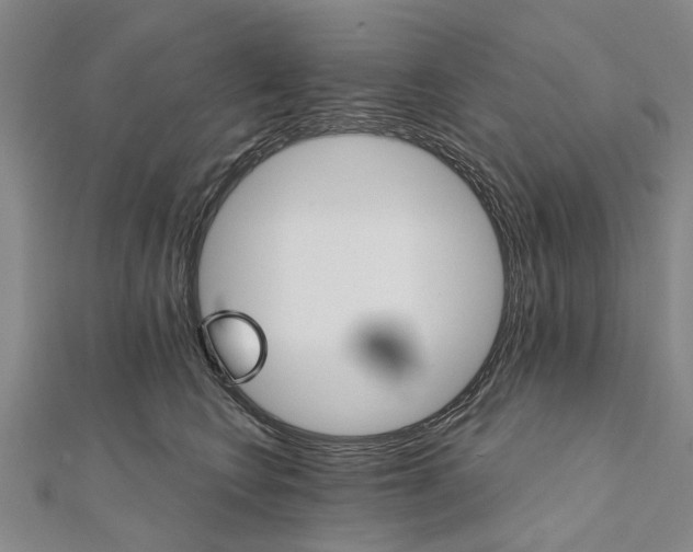 X0000111800566200908201156