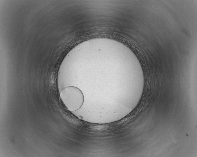 X0000111800567200908201156