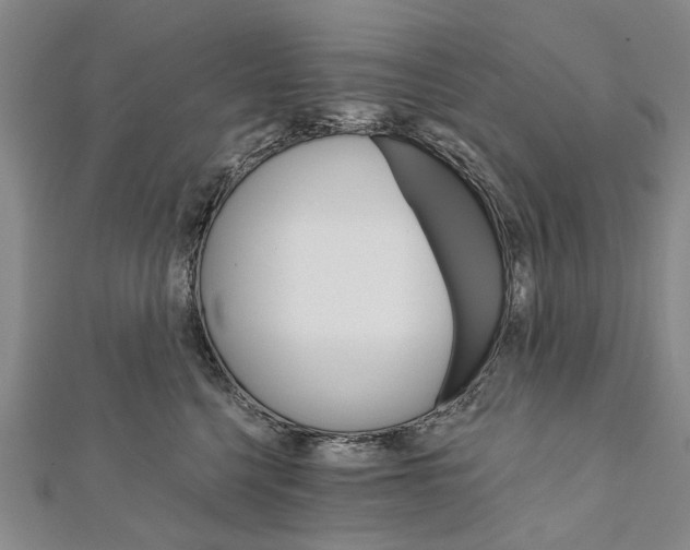 X0000111800568200908201156