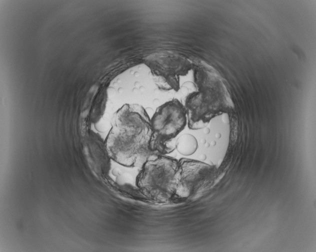 X0000111800569200908201156