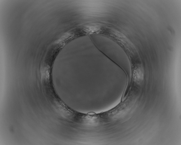 X0000111800570200908201156