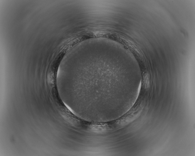 X0000111800571200908201156