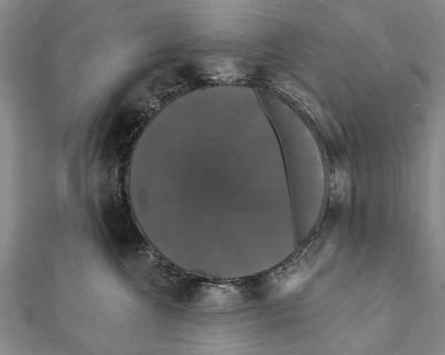 X0000111800572200908201156