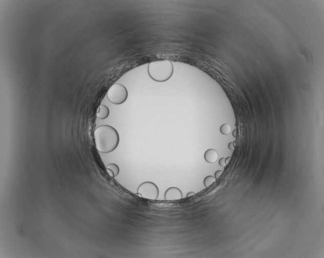X0000111800575200908201156