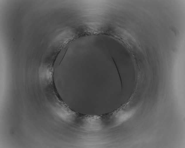 X0000111800576200908201156