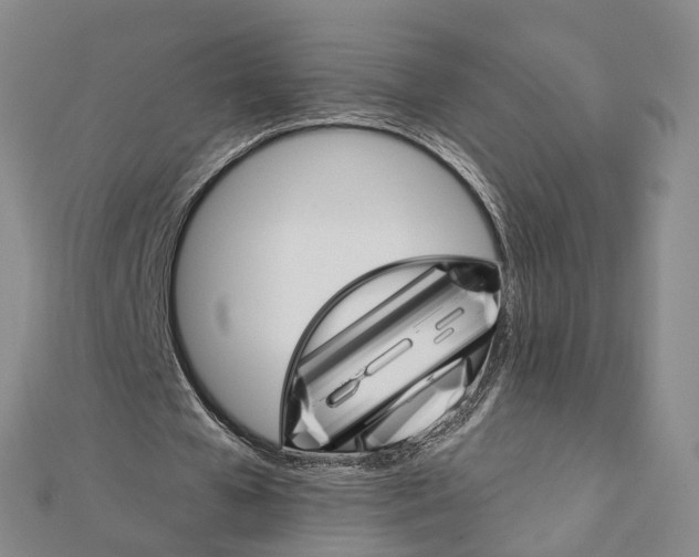 X0000111800577200908201155