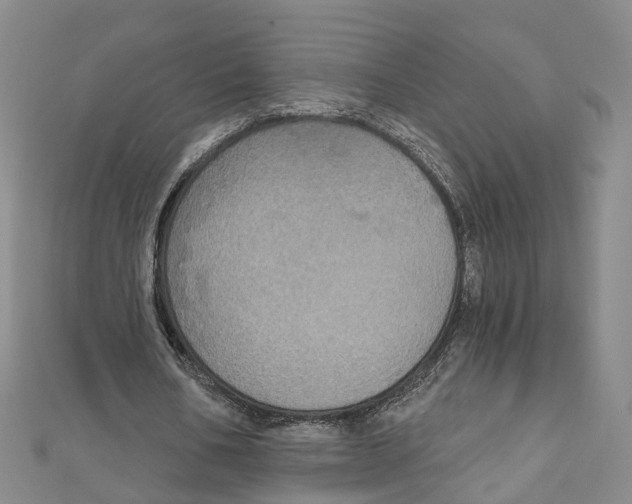 X0000111800578200908201155