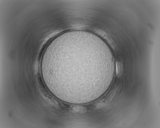 X0000111800579200908201155