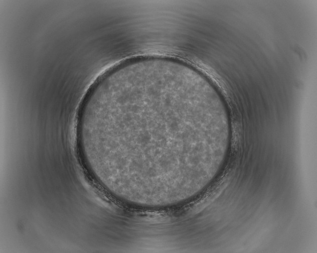 X0000111800580200908201155