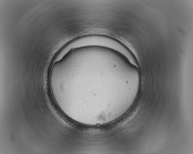 X0000111800581200908201155