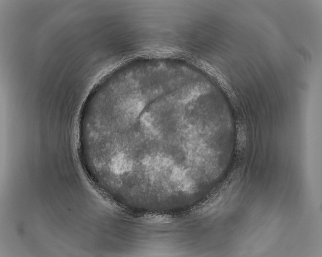 X0000111800582200908201155
