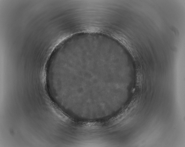 X0000111800584200908201155