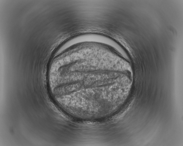 X0000111800585200908201155