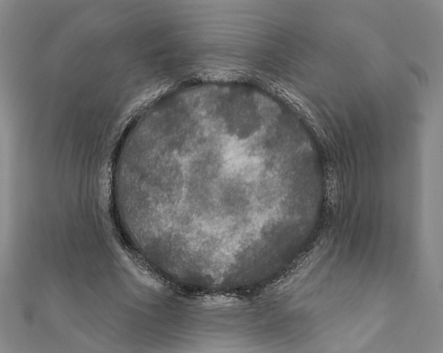 X0000111800586200908201155