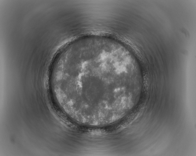 X0000111800587200908201155