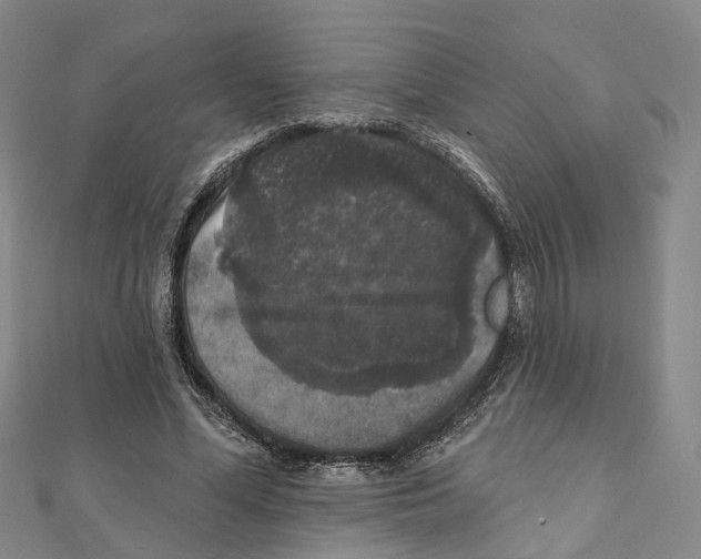 X0000111800588200908201155